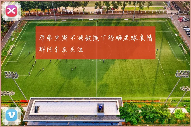 邓弗里斯不满被换下怒砸皮球表情郁闷引发关注
