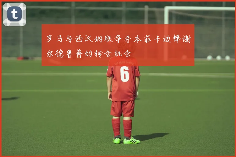 罗马与西汉姆联争夺本菲卡边锋谢尔德鲁普的转会机会