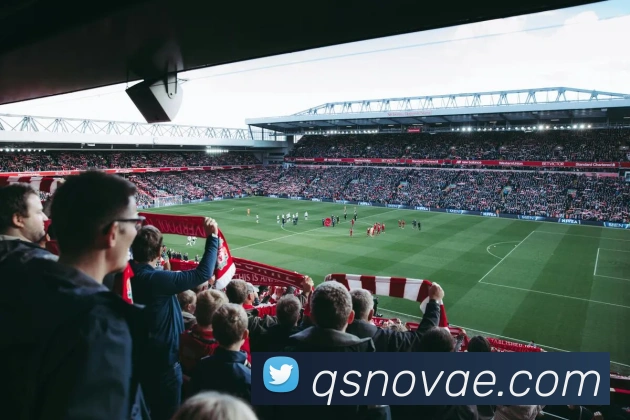 球速平台生态图